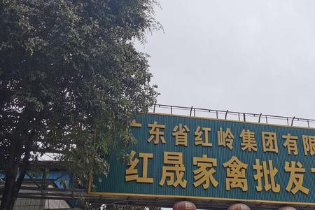 深圳市晟维旭是国企吗