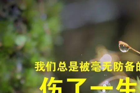 关于友谊的精辟短句