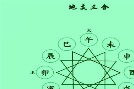 地支三朋格解释