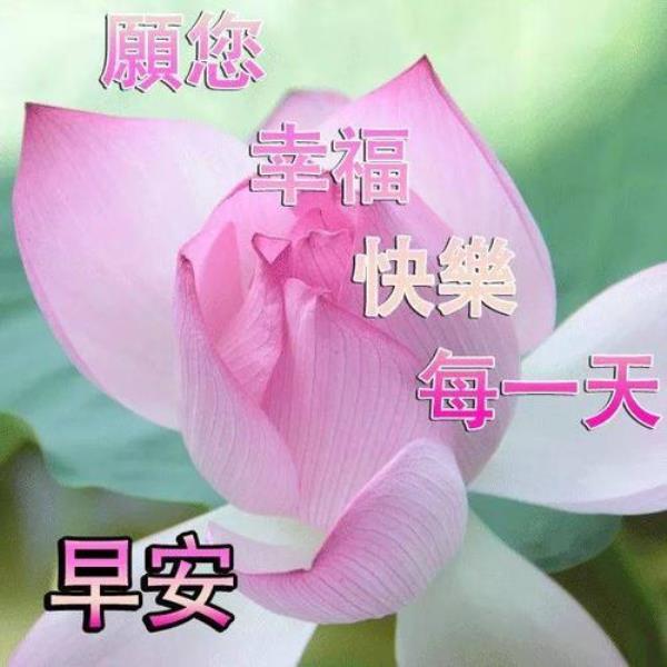 比早上好更高级的神仙句子