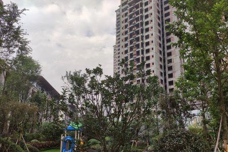 凤栖澜湾交房时间
