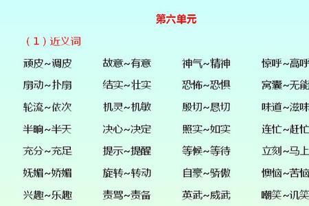 一不小心的同义词和反义词