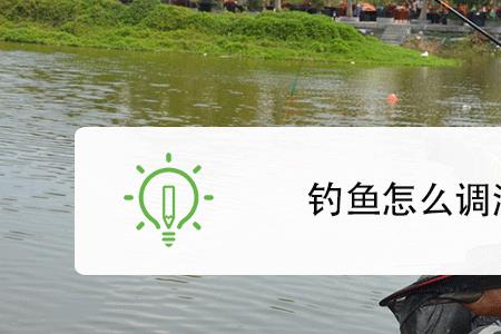 化绍新调漂的正确方法与技巧