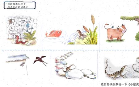 小壁虎借尾巴的精彩语句