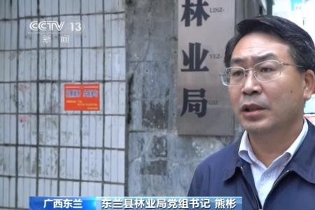 生态林没拿到补贴怎么回事