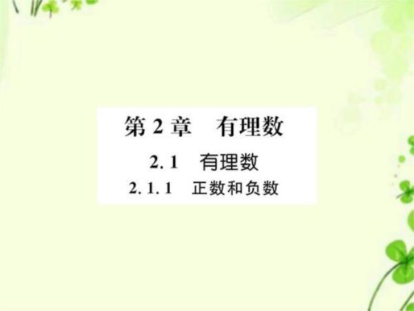 有理数包括哪些数，不包括哪些数