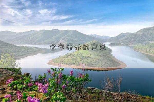 禾的深层寓意