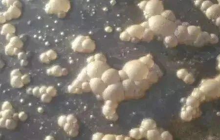 过氧化氢为什么会起泡沫