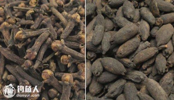 公丁香与母丁香的区别图片对比