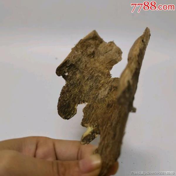 像树皮一样的香料叫什么