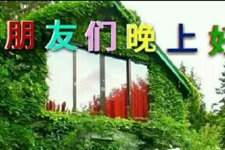 在群里说晚上好怎么回复