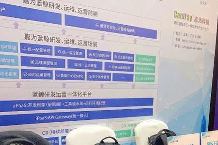 蓝鲸的数量2021年