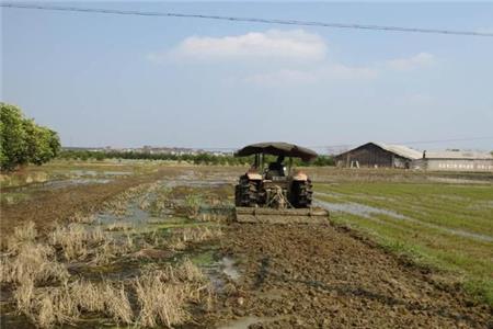 农村的市场属于什么用地