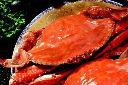 飞蟹怎么养能活得久一点