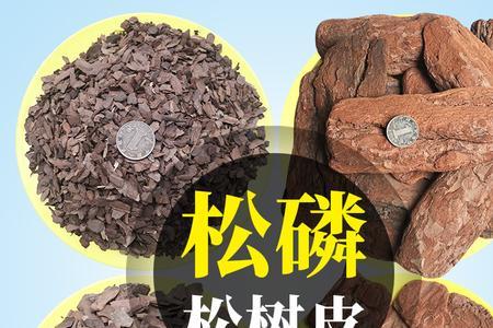松树皮是什么样的