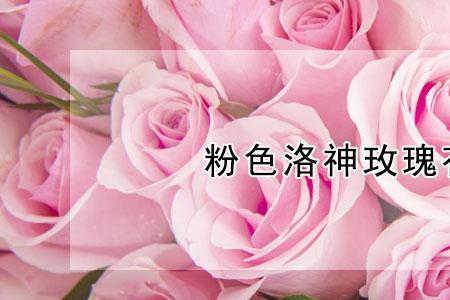 花言花语花寓花意