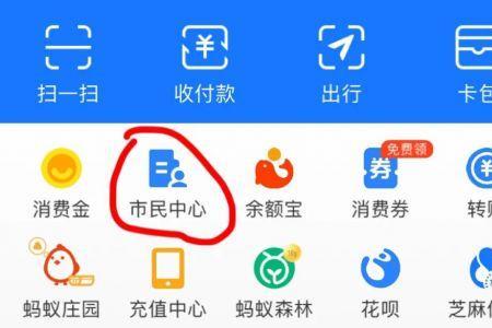 济南新农合支付宝网上缴费入口