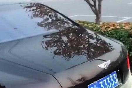 外地车牌能去上海松江吗