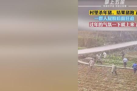撵不上的意思