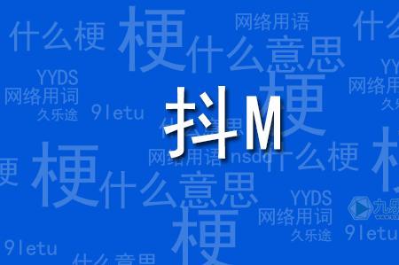 网络小说用语px什么意思