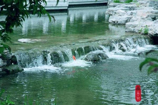 为什么鱼儿在下雨后逆水而上