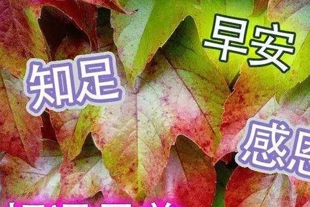 关心和问候是一样吗