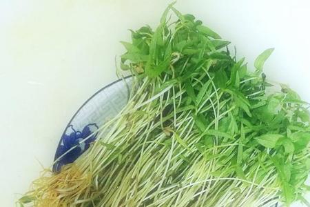 水培麻豌豆根能吃吗