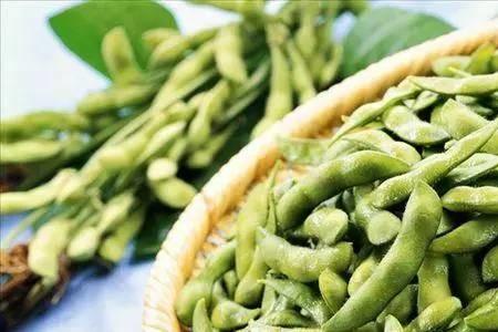 毛豆是早豆吗