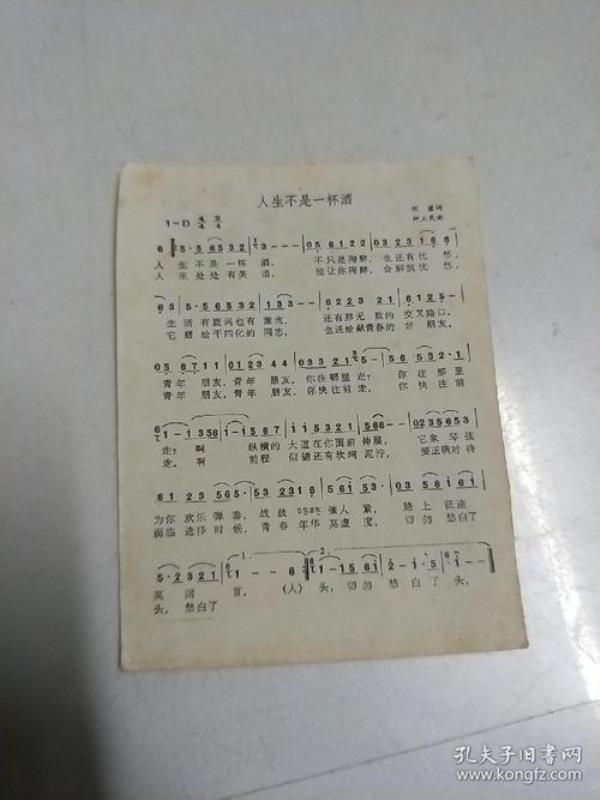 这样的人生是哪首歌的歌词