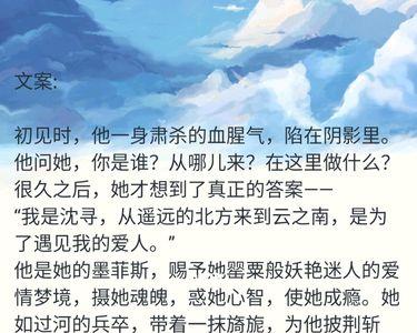 他在云之南概括
