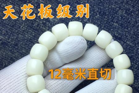 真菩提根沉不沉水