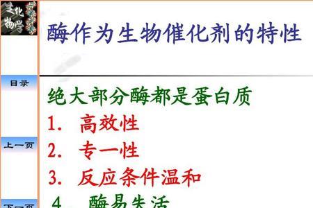 蛋白酶的化学本质