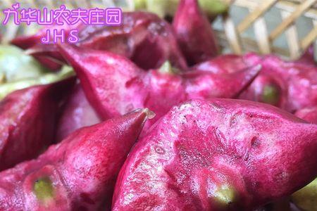 甘肃有菱角吗