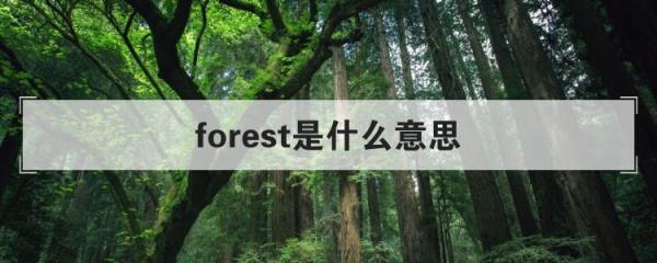 联动词是什么意思