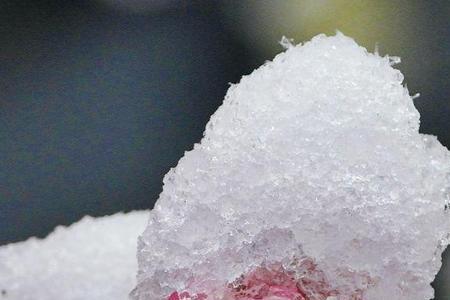 雪压梅花枝头什么意思