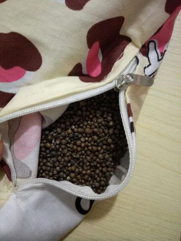 黄荆子枕头生虫子不