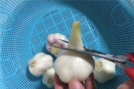 蒜发苦是怎么回事