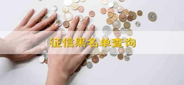 注册公司股东有征信不良可以吗