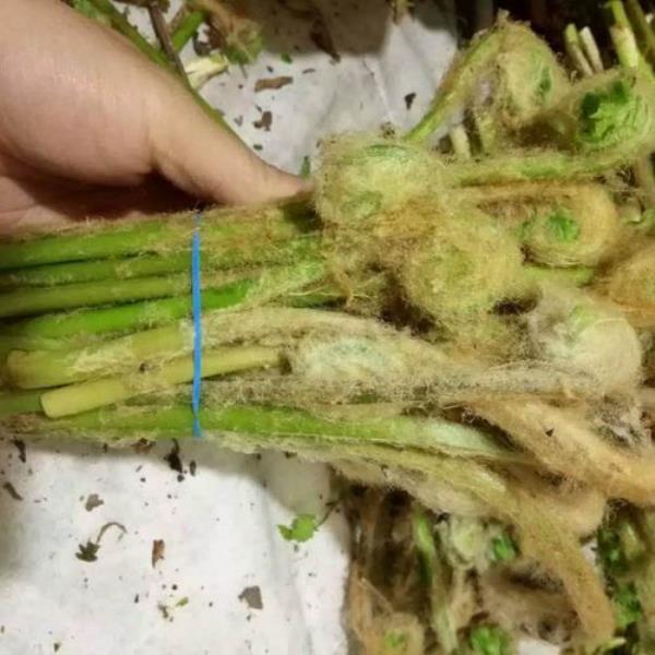 咸牛毛广做法
