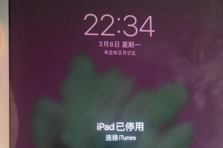 ipad停用了查找功能怎么办