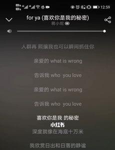 你是我的秘密数字表示