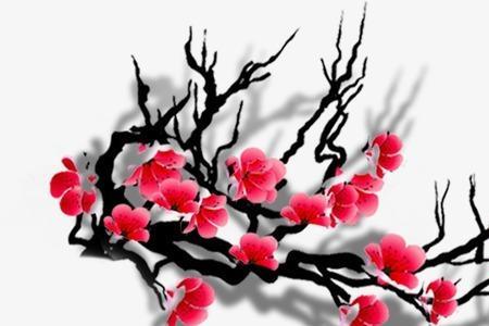 梅花的枝头是什么样的