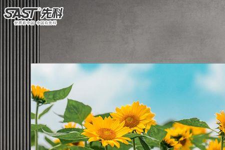 先科显示器怎么样