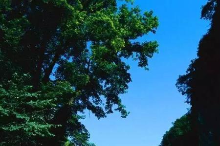 形容湖北的夏天