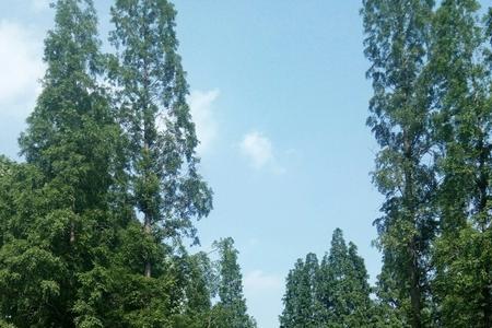 徐州市的邳州为什么叫邳州市啊