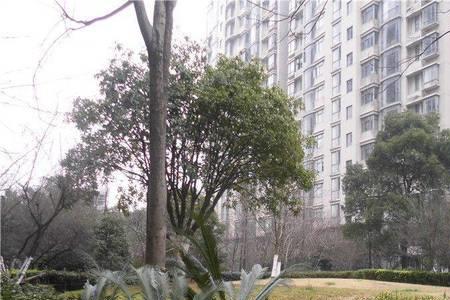 南昌恒茂国际华城哪年建成