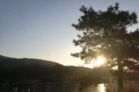 岂管流年如何解释