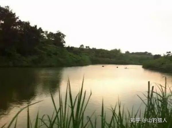 北兴塘湿地公园能钓鱼吗