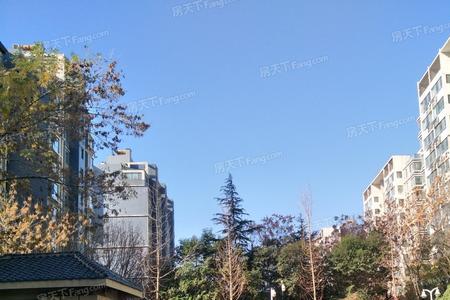 泉景天沅和领秀城哪个好