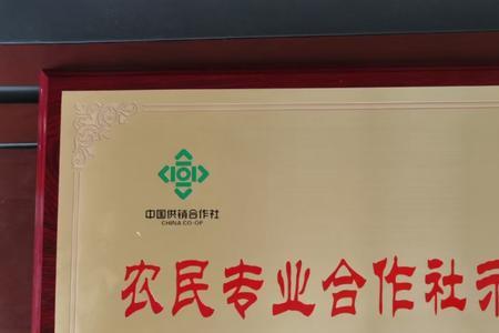 农业合作社无年报告能注销吗